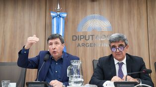 Durante un plenario de comisiones, Daniel Arroyo y Pablo Yedlin, de UP, fustigaron al gobierno de Javier Milei.