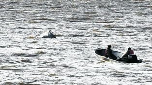 Murió la ballena que estaba encallada en la costa bonaerense
