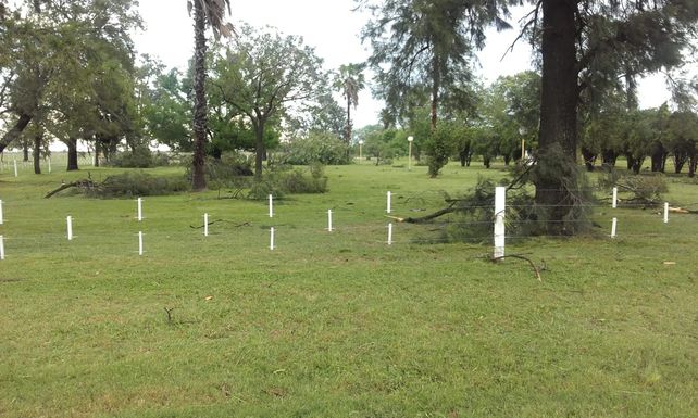 “No he visto, ni recuerdo, una tormenta similar”