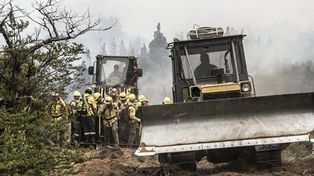 El fuego arrasó 13 mil hectáreas de bosques en Chubut