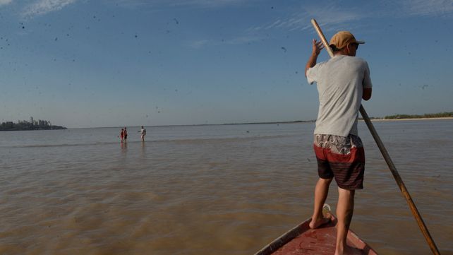 ¿Una futura isla? El Paraná está tan bajo que se puede caminar en el medio del río