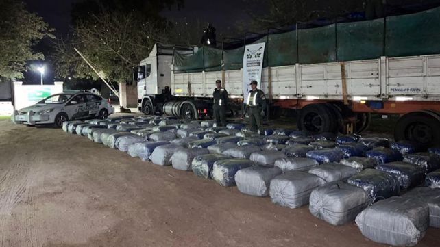 Gendarmería Descubre 2.450 kilos de hojas de coca con un valor estimado de $113 millones a la Altura de Ceres
