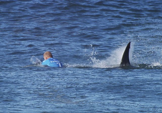 Susto. El australiano Mick Fanning advierte que se le aproxima un tiburón y poco después desaparece de la superficie.