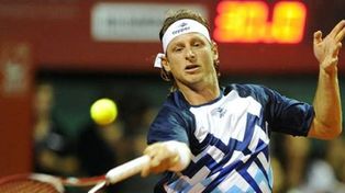 Apareció una web con un petitorio para que Nalbandian juegue la Davis 2014