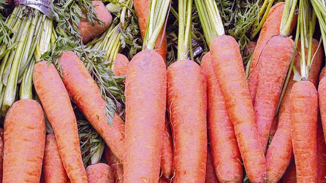 Investigación. La planta piloto utiliza lo que se descarta en la cosecha de zanahoria para generar valor agregado.