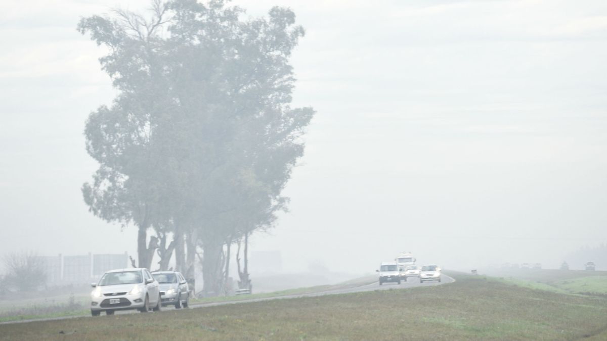 Alerta violeta por la presencia de bancos de niebla en Rosario y la región