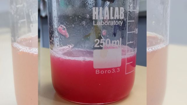 Desarrollan en Santa Fe un alimento a base de gelatina con beneficios para huesos