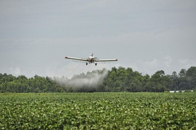 La proximidad entre zonas fumigadas y viviendas expone a la población a compuestos tóxicos