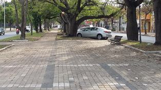 El Concejo intentará aprobar un empréstito por $90 millones para remodelar Av. Freyre