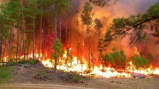 Dos incendios causan alarma y numerosos evacuados en las sierras de Córdoba