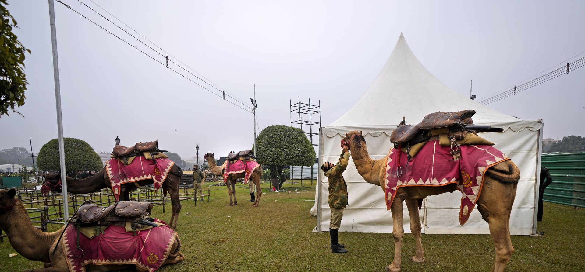 Un soldado de la fuerza de seguridad fronteriza de la India ata la boca de su camello mientras se preparan para los ensayos del próximo desfile del Día de la República en Nueva Delhi, India, el lunes 17 de enero de 2022. India celebra el Día de la República el 26 de enero, destacado por una marcha de diferentes ramas de las fuerzas armadas, así como una exhibición de armas y misiles.
