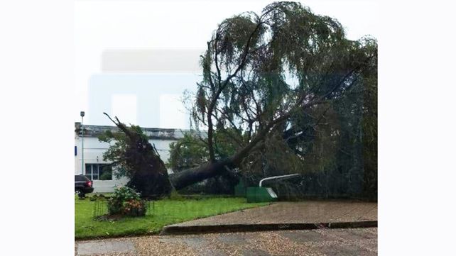Violenta tormenta en Basavilbaso