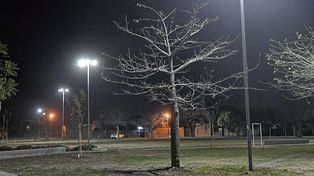 Trabajos de iluminación