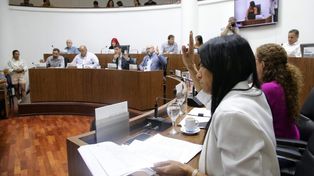 Foto ilustrativa. El Concejo le pidió a Poletti que convoque al Consejo de Seguridad Urbana.