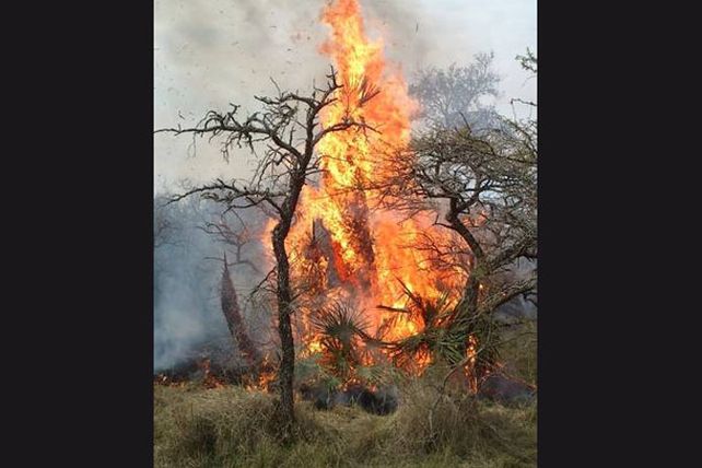 Tras 24 horas de trabajo, lograron controlar un enorme incendio en Villaguay