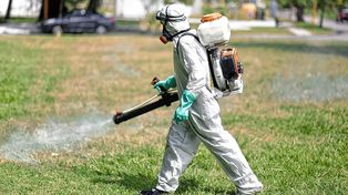 Trabajos de fumigación