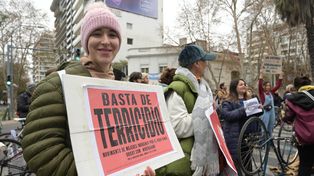 Luego de varios días de humo de los incendios en islas de Victoria y Delta, habitantes de Rosario convocan a una marcha masiva contra las quemas ilegales&nbsp;