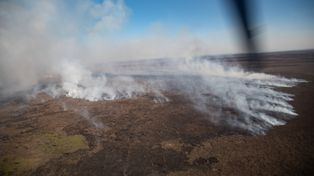Los incendios en el humedal provocaron daños irreparables.
