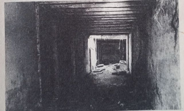 Galería subterránea registrada en 1981. 