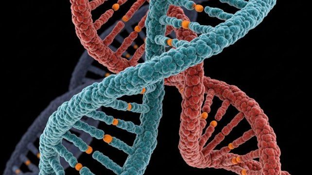 Con las nuevas tecnologías de ADN se pueden prevenir enfermedades