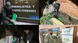 Gendarmería aprehendió a otro integrante de la organización criminal de los hermanos Borras y secuestró 55 kilos de cocaína