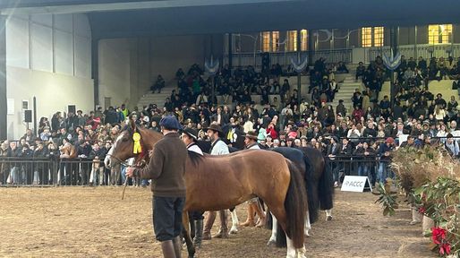 La Rural: la muestra priorizó el debate político