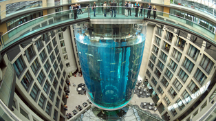 El acuario tenía una estructura de 16 metros de altura y 11 de diámetro