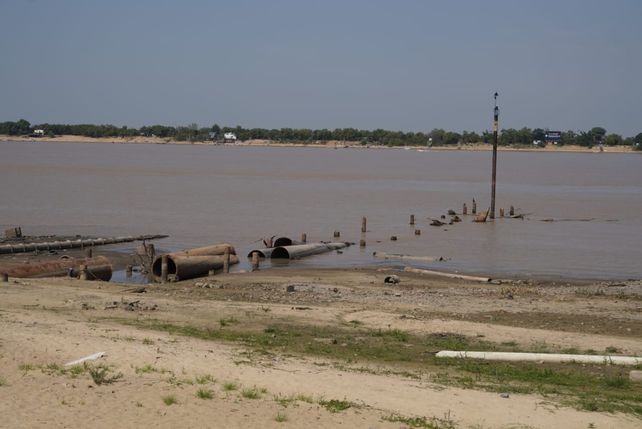 Las cianobacterias aparecieron nuevamente en el Paraná a la altura de Rosario y la región.