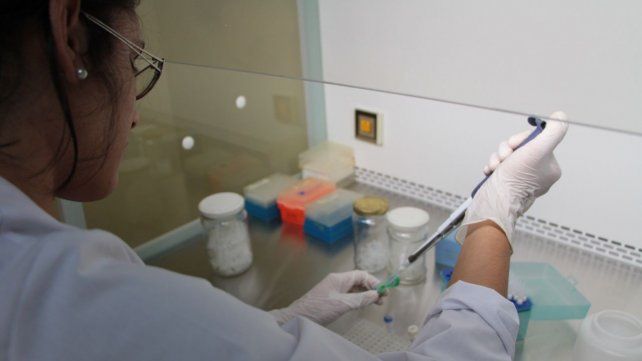 Pueden participar las carreras de ingeniería química