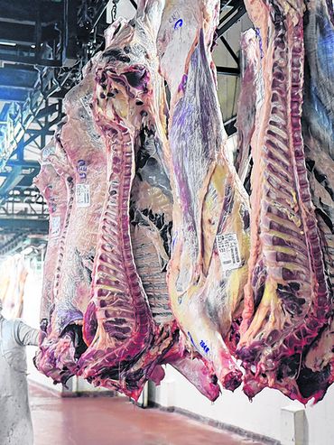 Carne vacuna: ¿Se podrá repetir el récord exportador de 2023?