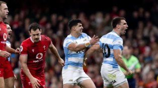 Los Pumas obtuvieron una victoria clave para el ránking mundial.