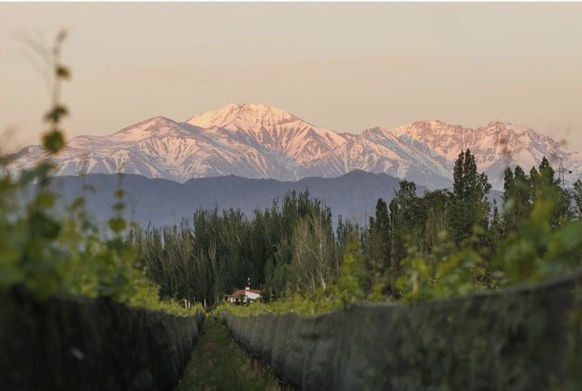 La zona de Luján de Cuyo exhibe un paisaje natural y único, entre viñedos y gastronomía.
