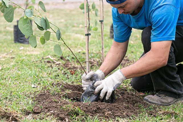 Los organizadores remarcaron que la propuesta busca fomentar el compromiso ciudadano con el cuidado del ambiente y fortalecer el trabajo comunitario en torno a prácticas sustentables.