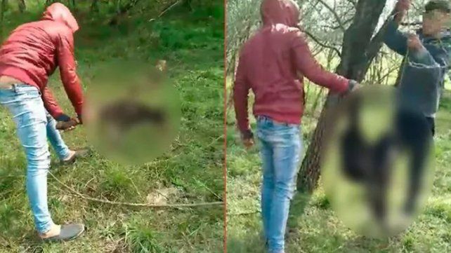 Inician querella contra tres personas que se filmaron matando a un perro en Villa San Marcial.