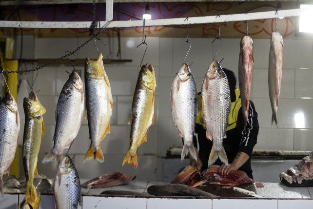 La provincia decidió frenar las ventas de pescado al exterior por un año.