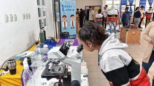 El Museo. Ofreece alternativas para estimular o complementar el aprendizaje de las ciencias que se desarrolla en el aula.