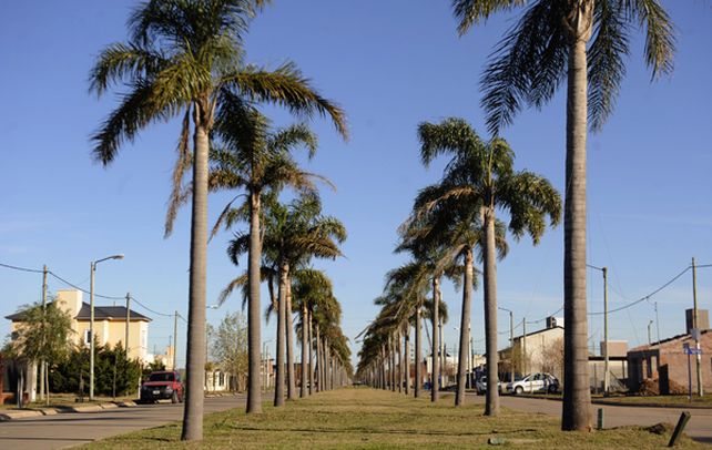 S agranda. En Roldán el incremento de las construcciones ya se había visto el año pasado