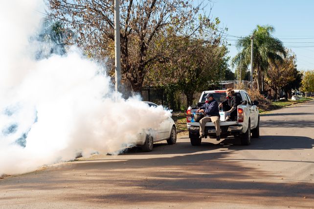 Desde noviembre el muncipio de Villa Constitución refuerza su estrategia en la prevención del dengue