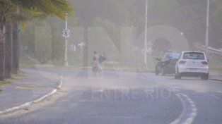 Doce departamentos de la provincia se verán afectados por vientos de entre 40 y 50 km/h, con ráfagas de hasta 80, según el alera amarillo del SMN.