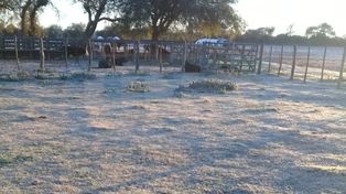Im&aacute;genes de la helada en el paraje La Balsa de Villa Urquiza