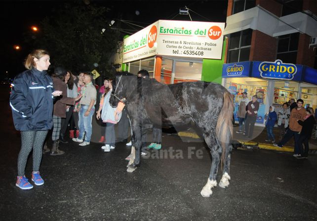 Indignación.  Un caballo que tiraba un carro se desplomó en pleno Bulevar. Foto: José Busiemi / UNO Santa Fe