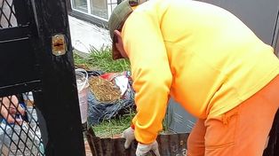 Paraná en alerta por el dengue