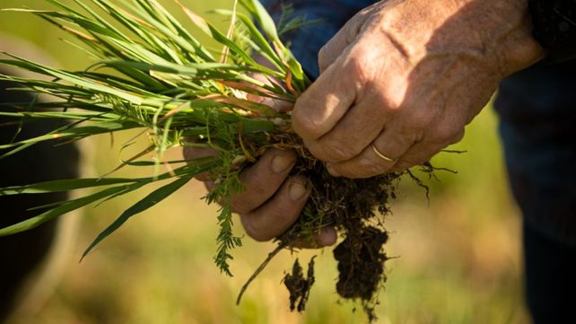 El programa Carbon Net forma parte de una de las prioridades de Sustentabilidad de Syngenta