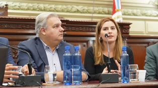 Pablo Farías y Lionella Cattalini destacan la necesidad de dar debate sobre las economías delictivas.
