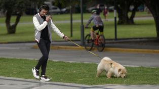 Neblinas por la mañana, cielo nublado e inestabilidad marcarán este lunes el clima en Rosario y la región.