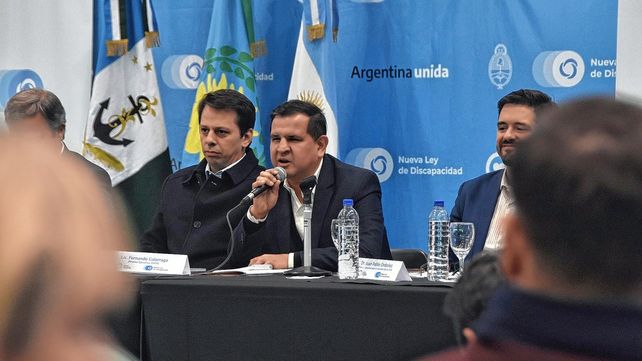 Entre Ríos participó de la última audiencia pública sobre la nueva ley de discapacidad.&nbsp;