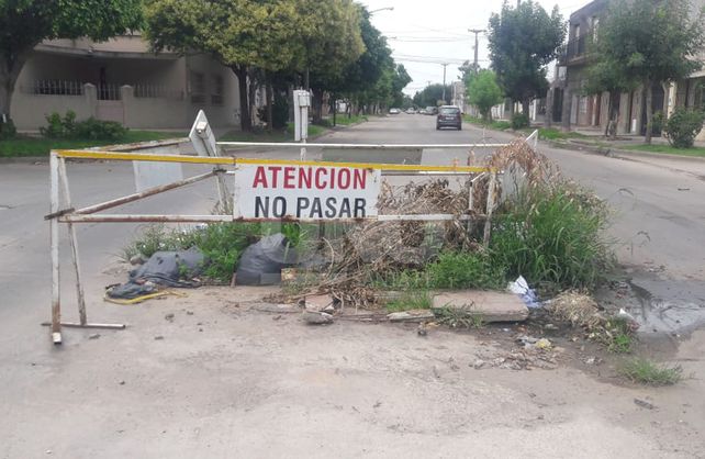 Los vecinos llaman a la esquina de Gobernador Freyre y Lavaisse la reserva ecológica del barrio.&nbsp;