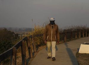 Quemas: qué dicen los alergistas sobre consecuencias del humo 