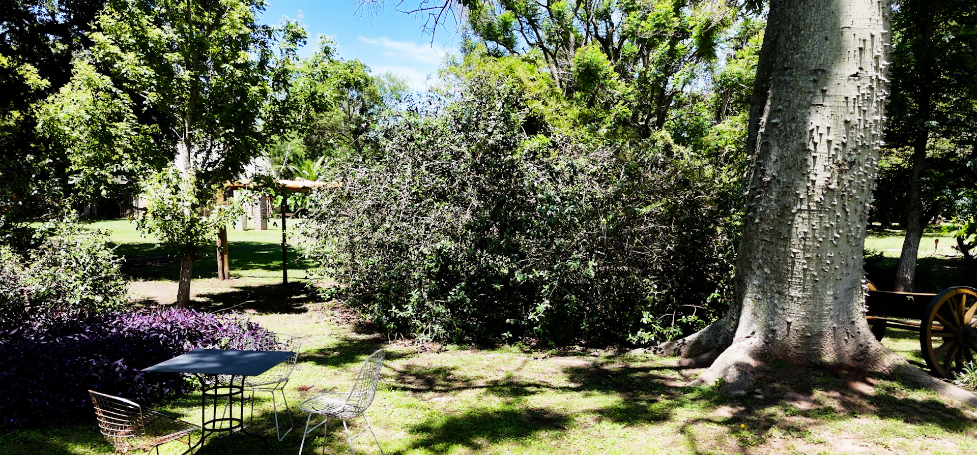 El Paraíso, la oportunidad de pasar un día de campo a 50 kilómetros de Rosario