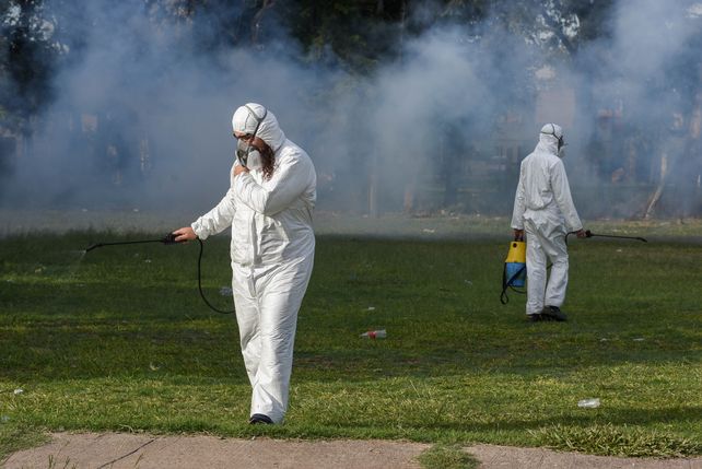Dengue. Más allá de la fumigación, aseguran que la clave está en la higiene y limpieza del hogar.